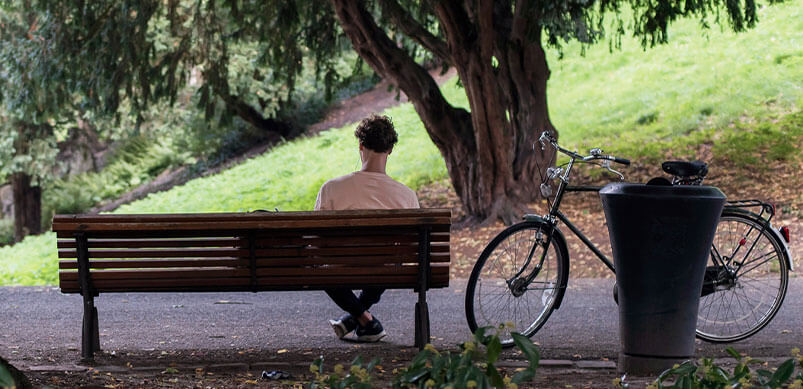 Man on Park Bench