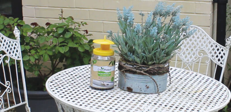 Green Protect Wasp and Flying Insect Trap On Garden Table