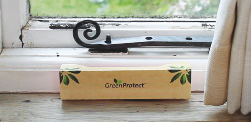 Green Protect Fly Discreet On WIndowsill