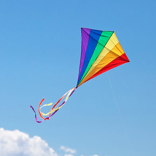 Kite Flying In Sky