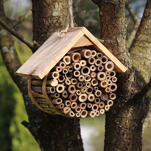 Insect Hotel In Garden