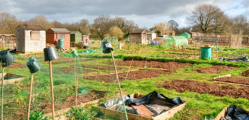 Allotment Lots