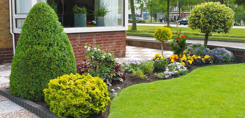 Small garden in front of a house