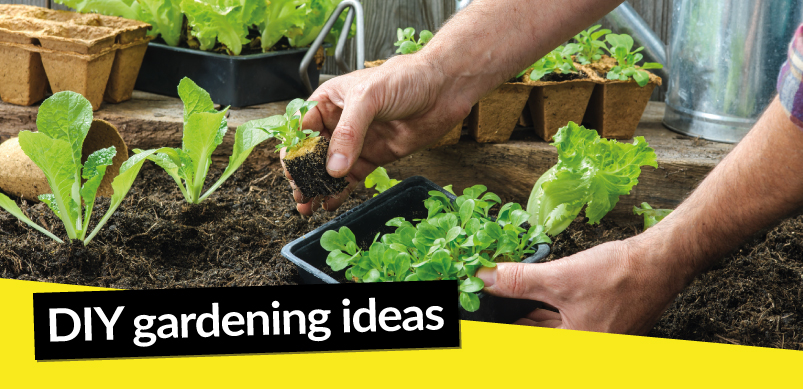 DIY gardening ideas