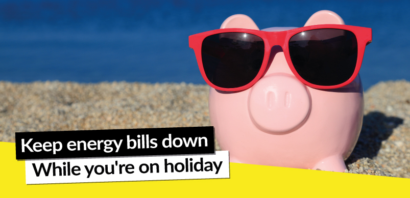 Piggy Bank With Sunglasses