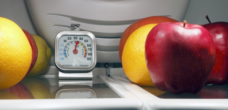 Thermometer inside fridge