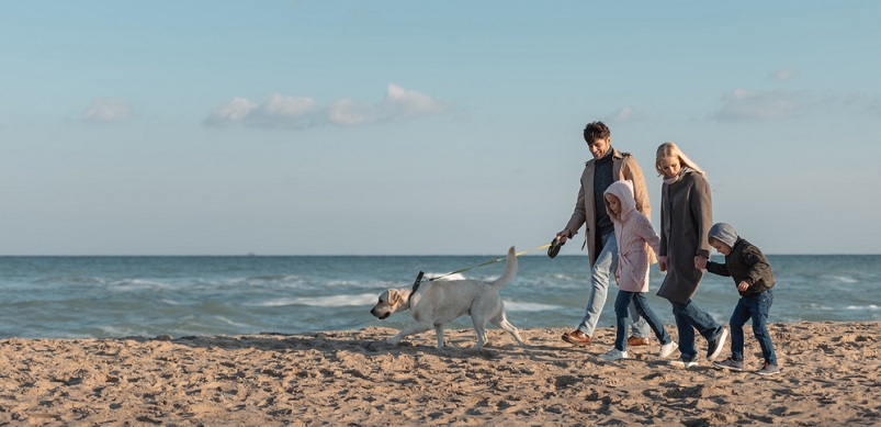 Family and dog walking at the beach