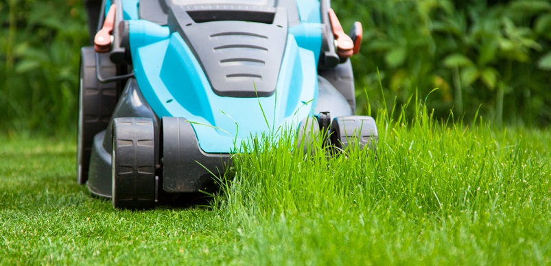 Lawnmower cutting garden grass